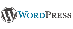 agencia-de-marketing-online-wordpress